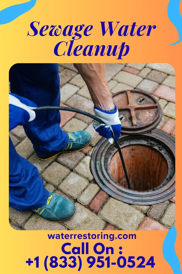 Sewage Water Cleanup in Spaulding, IL