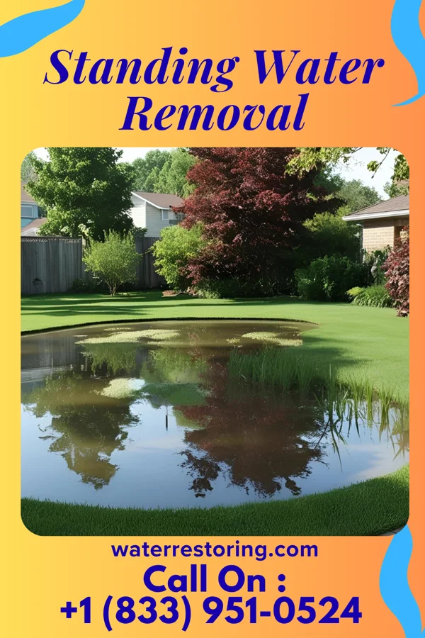 Standing Water Removal in Spaulding, IL